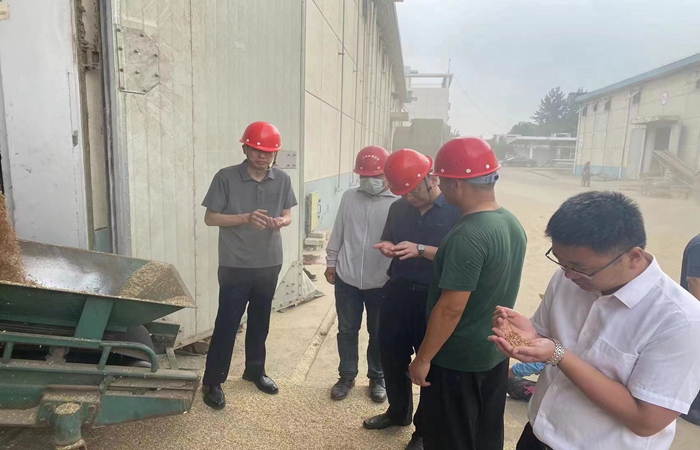 局黨組書記、局長蔣超督導(dǎo)省市級儲備糧收購、項(xiàng)目建設(shè)工作