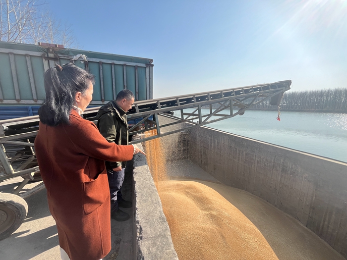 “黨建領航，守護糧安”淮糧集團開展特色品牌黨建活動