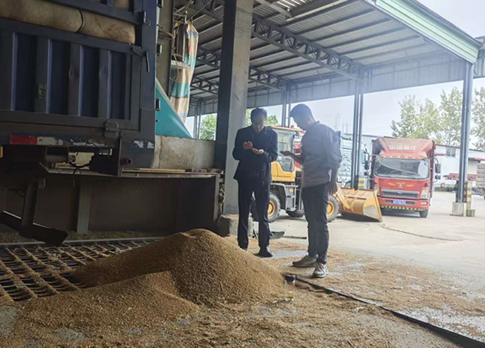 淮糧實業(yè)公司調(diào)研糧食財務(wù)管理工作