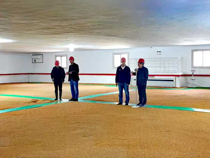 儲備公司2025年省級儲備小麥輪換工作通過驗收